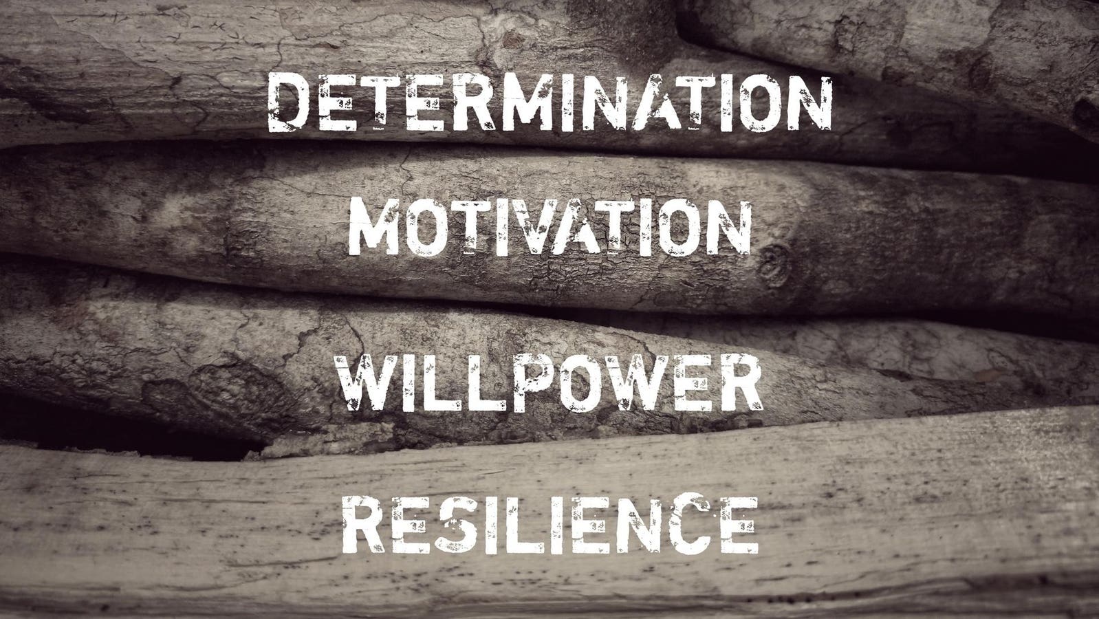 7 Books That Will Strengthen Your Mind And Build A Bulletproof Business