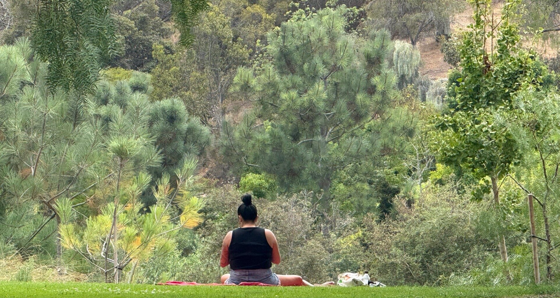 Pepper Grove, a pretty place with trees, a canyon view and a fun playground