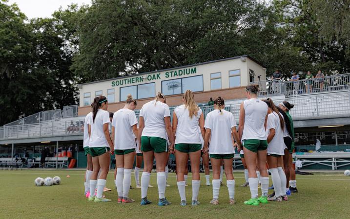 Dolphins Downed in Close Fight with Miami