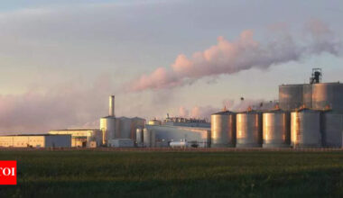 Genetic body okays import of GM yeast for ethanol production | Hyderabad News