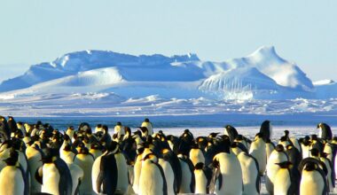 From sea ice to ocean currents, Antarctica is now undergoing abrupt changes—and we'll all feel them