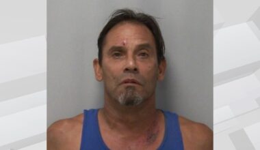 Chicago man faces gun charges in Lee County