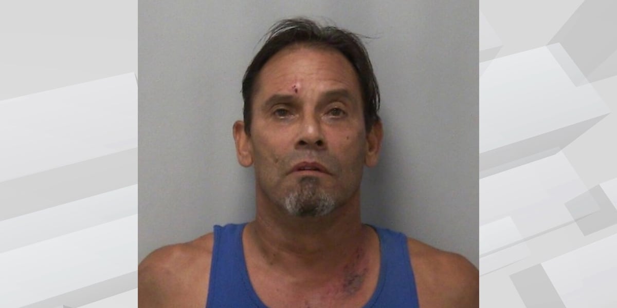 Chicago man faces gun charges in Lee County