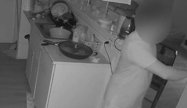 Caught on camera: Man allegedly breaks into Houston apartment, steals family's food