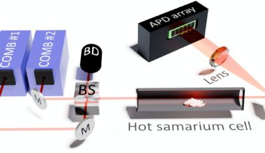 Enhanced dual-comb spectroscopy reveals previously unknown atomic transitions in a rare earth element
