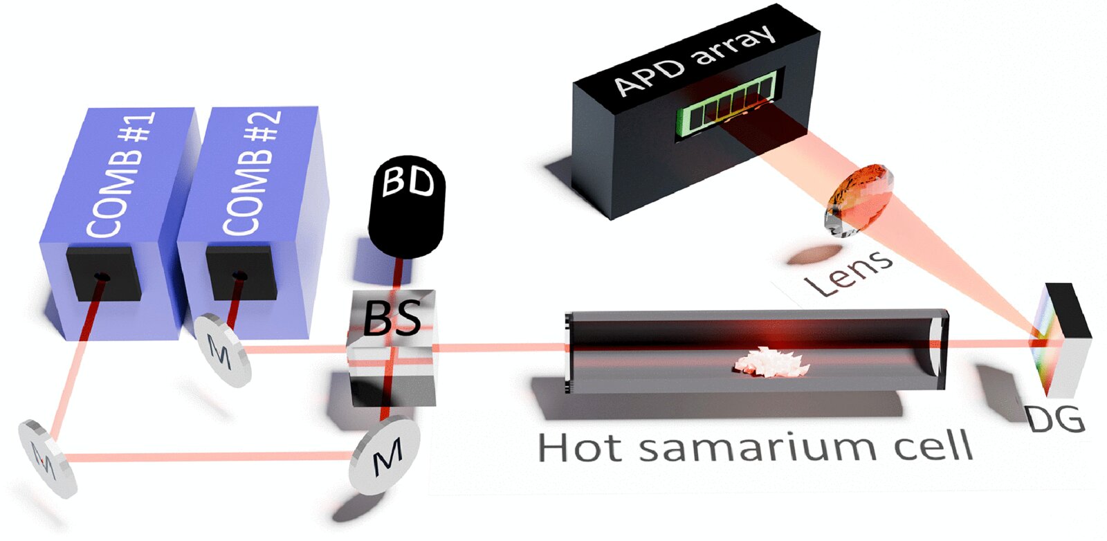 Enhanced dual-comb spectroscopy reveals previously unknown atomic transitions in a rare earth element