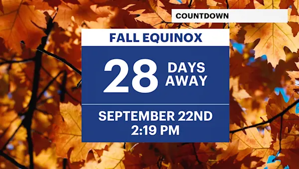Humidity drops and fall-like temperatures arrive in Brooklyn