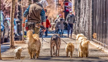 NYC dog poop complaints spike, report shows