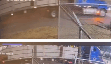 Dallas PD seeks help IDing 18-wheeler driver in hit-and-run