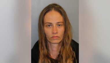 Chicago woman led suburban police on high-speed chase in stolen car, prosecutors say