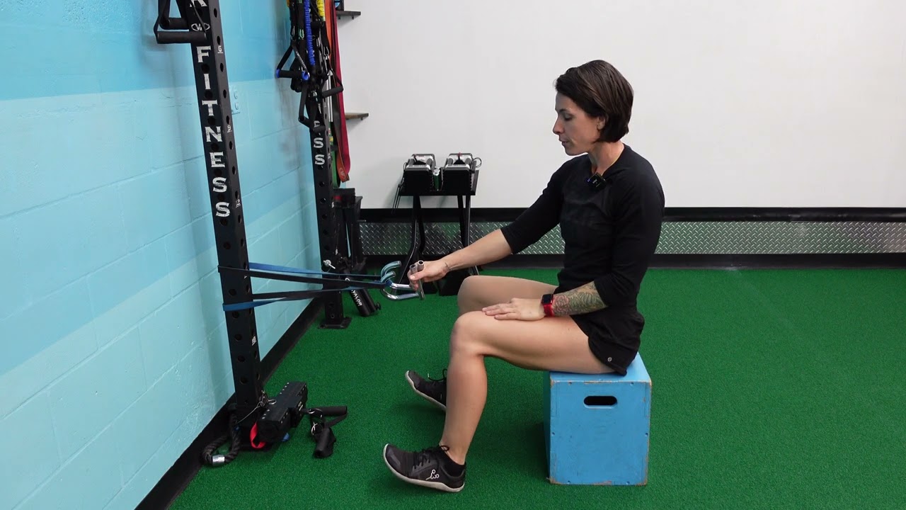 Seated Double Arm Banded Rows - YouTube