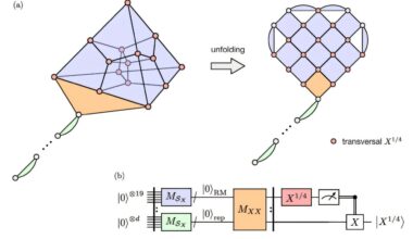 A low-cost protocol enables preparation of magic states and fault-tolerant universal quantum computation
