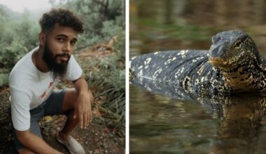 Man builds small pond in the Brazilian forest and the life it attracts is incredible