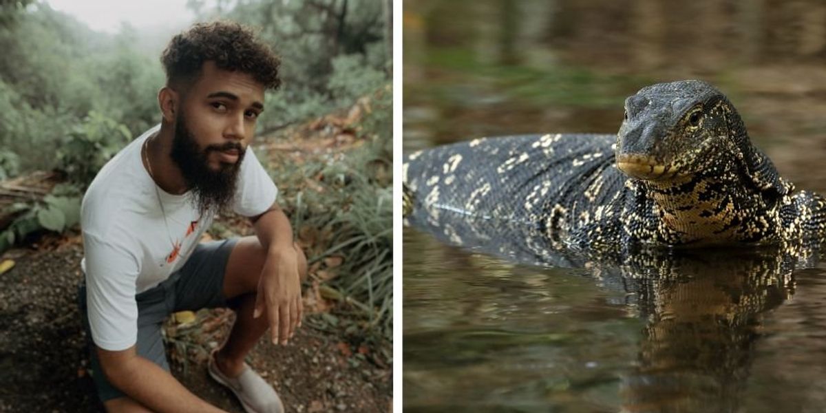Man builds small pond in the Brazilian forest and the life it attracts is incredible
