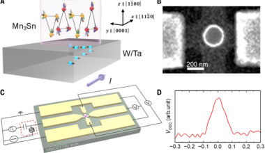 Antiferromagnets outperform ferromagnets in ultrafast, energy-efficient memory operations
