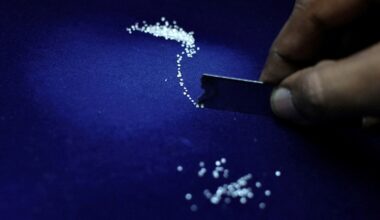 India's diamond industry counts on domestic demand to cushion US tariff blow | Latest News India
