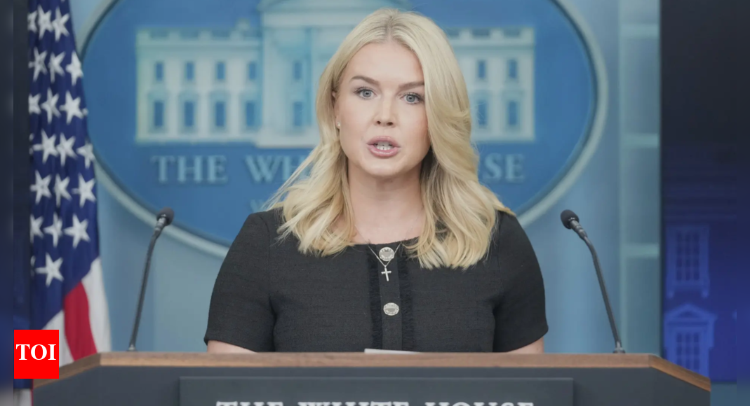'15 times higher': Karoline Leavitt compares Chicago murder rate to Delhi, Islamabad; slams governer for new executive order
