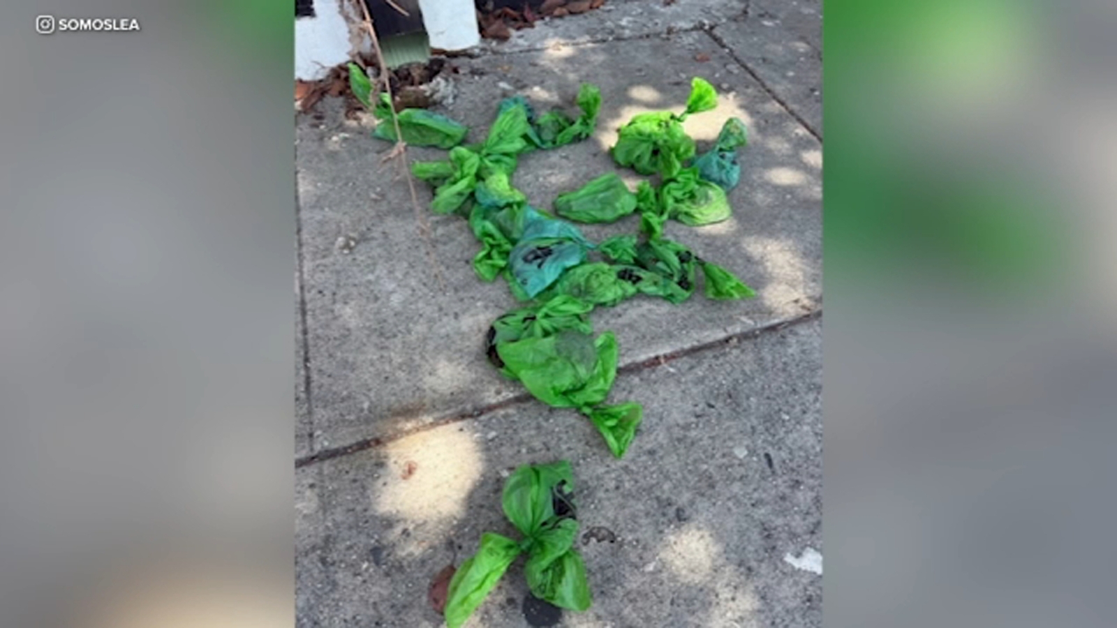 Police searching for suspect who's been throwing bags of dog feces at LGBTQ+ youth center in Bell