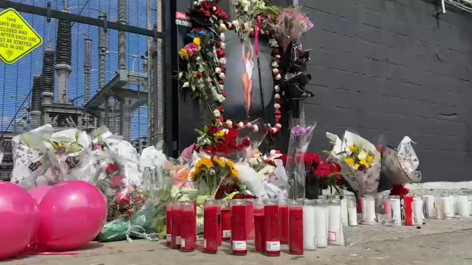 NYC nightlife social media influencer Ariiela La Langosta found shot to death in her car in Mount Vernon