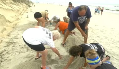 Hurricane Erin causes minor beach erosion, washes away turtle nests in Surf City