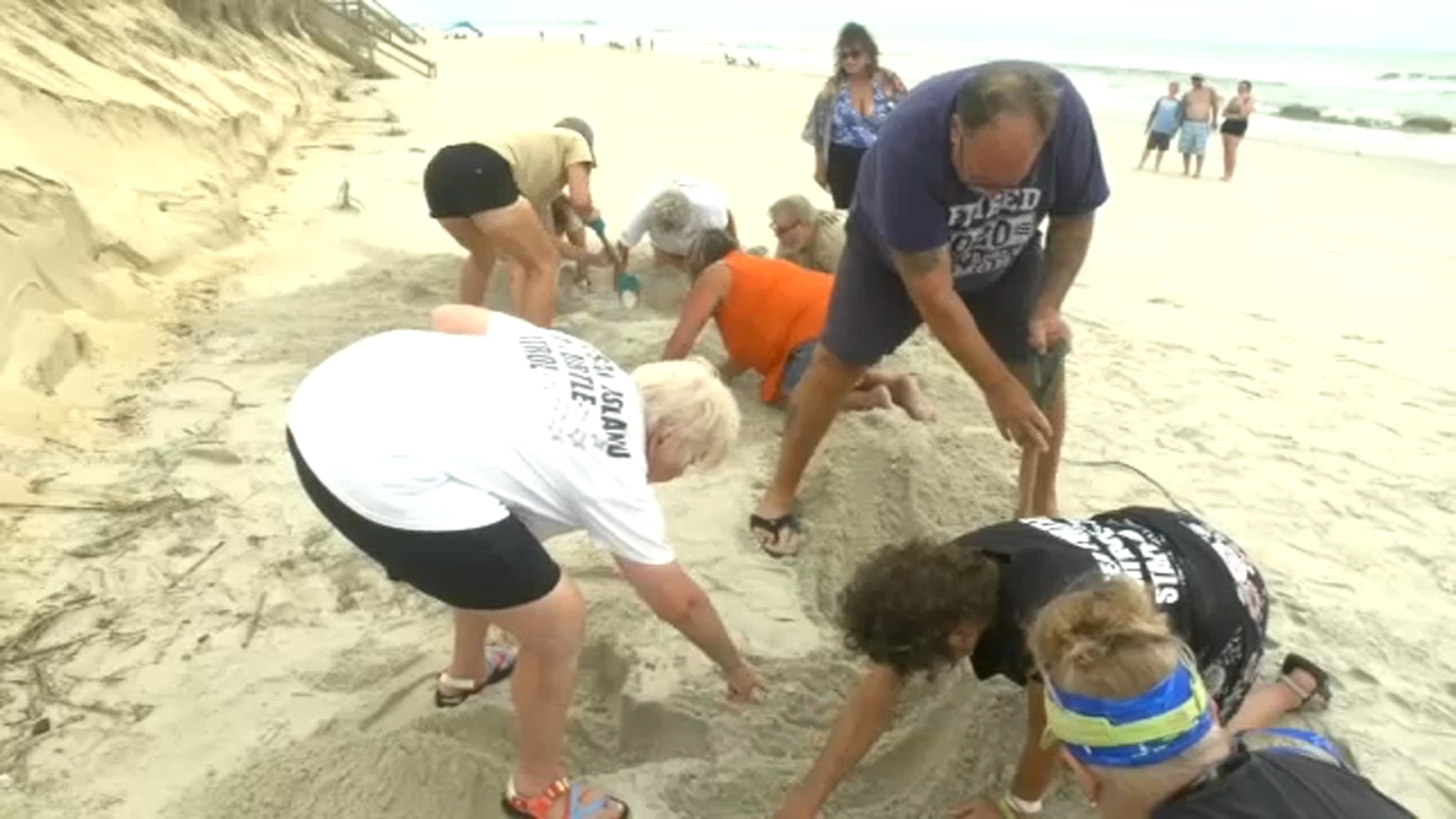 Hurricane Erin causes minor beach erosion, washes away turtle nests in Surf City