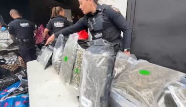 Bronx cannabis bust: 11 people arrested, $5 million in illegal marijuana products seized