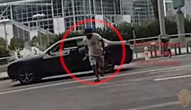 Bodycam video released after machete-wielding suspect fatally shot by police in downtown LA