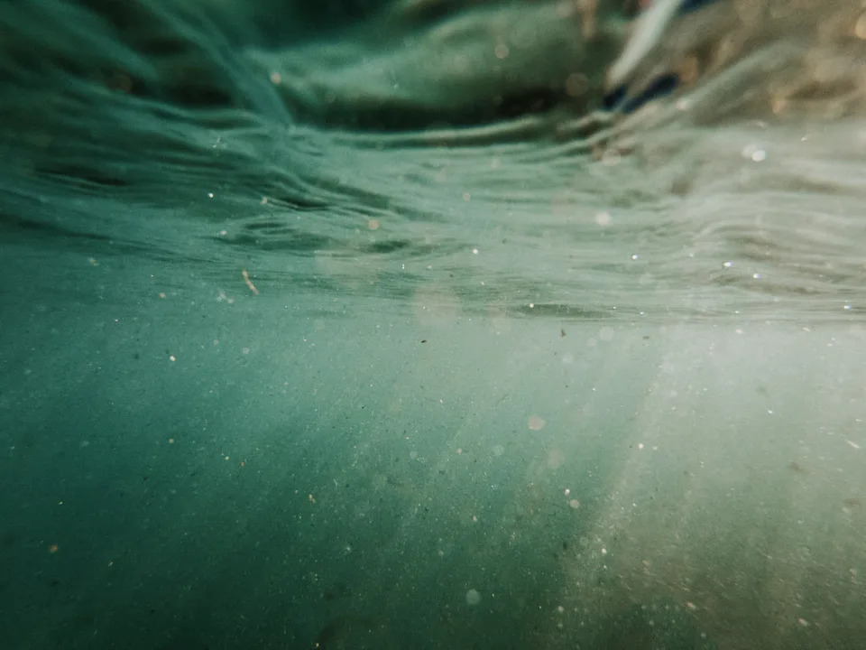Underwater View in the Ocean