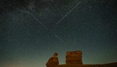 Where and when you can still watch the year's brightest shower before it ends next week