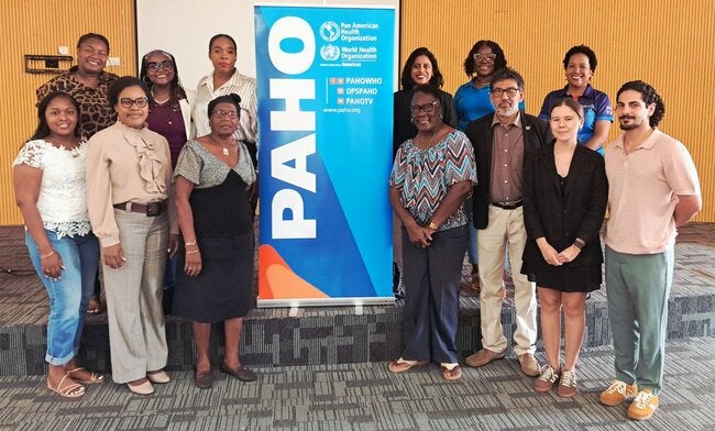 Mental health legislation and policy consultations continue in Dominica - PAHO/WHO