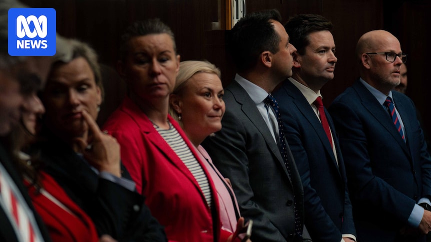 Tasmanian Labor discuss new leadership following failed no-confidence motion