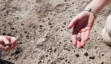 Two types of ancient human ancestors coexisted more than 2 million years ago, fossils show