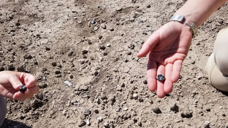 Two types of ancient human ancestors coexisted more than 2 million years ago, fossils show