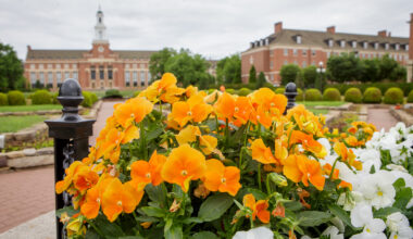 Orange and white flowers outside the OSU library.