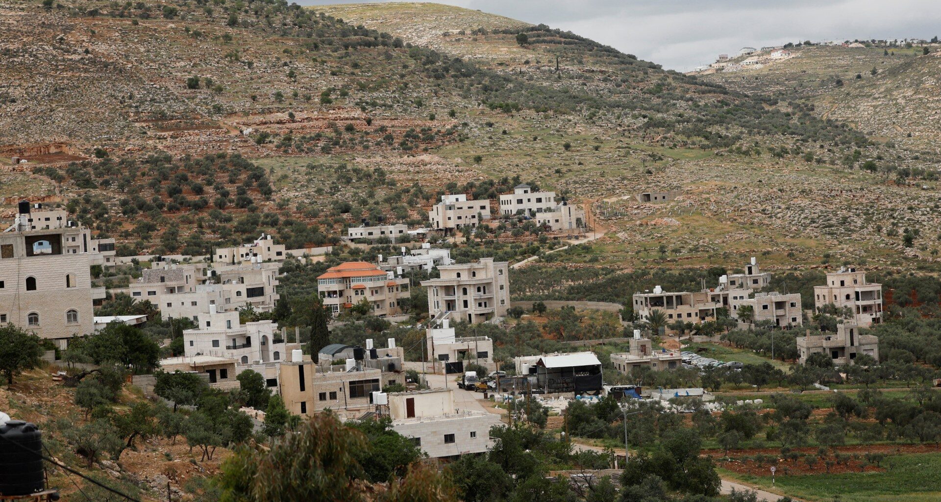 Israeli military uproots thousands of Palestinian olive trees in West Bank | Israel-Palestine conflict News