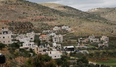 Israeli military uproots thousands of Palestinian olive trees in West Bank | Israel-Palestine conflict News