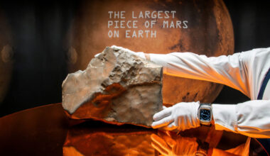 Meteorite NWA 16788 is displayed at Sotheby’s auction in New York