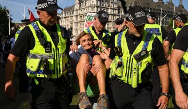 UK police arrest at least 365 people at Palestine Action protest in London | Protests News
