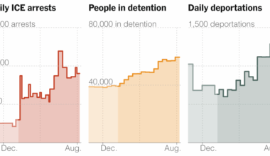 Deportations Reach New High Under Trump After Summer Surge in Immigration Arrests