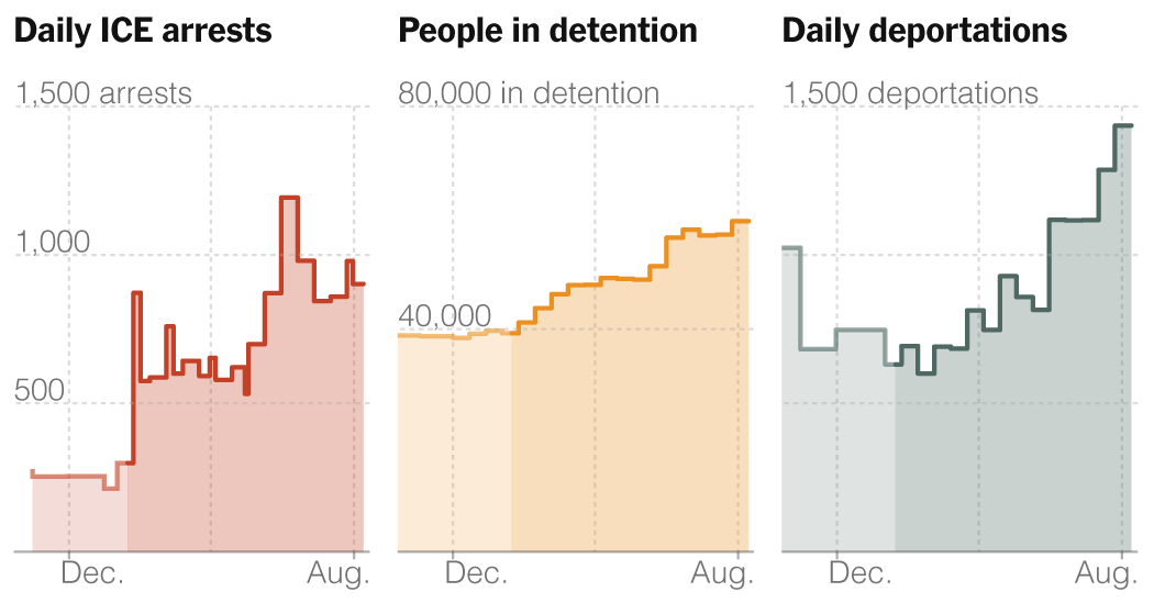 Deportations Reach New High Under Trump After Summer Surge in Immigration Arrests