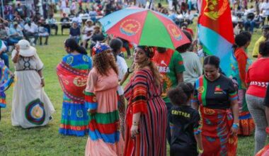 Nigerian-American Multicultural Council presents Houston AfriFEST