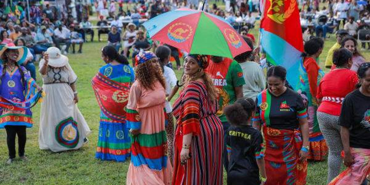 Nigerian-American Multicultural Council presents Houston AfriFEST