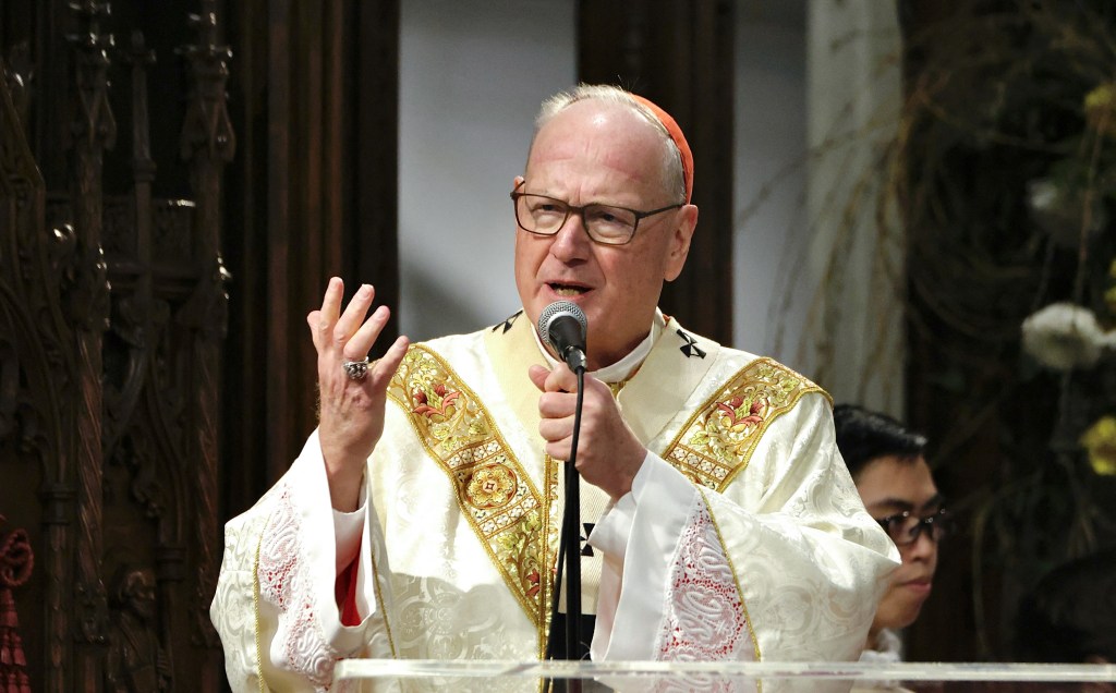 Cardinal speaking at a microphone.