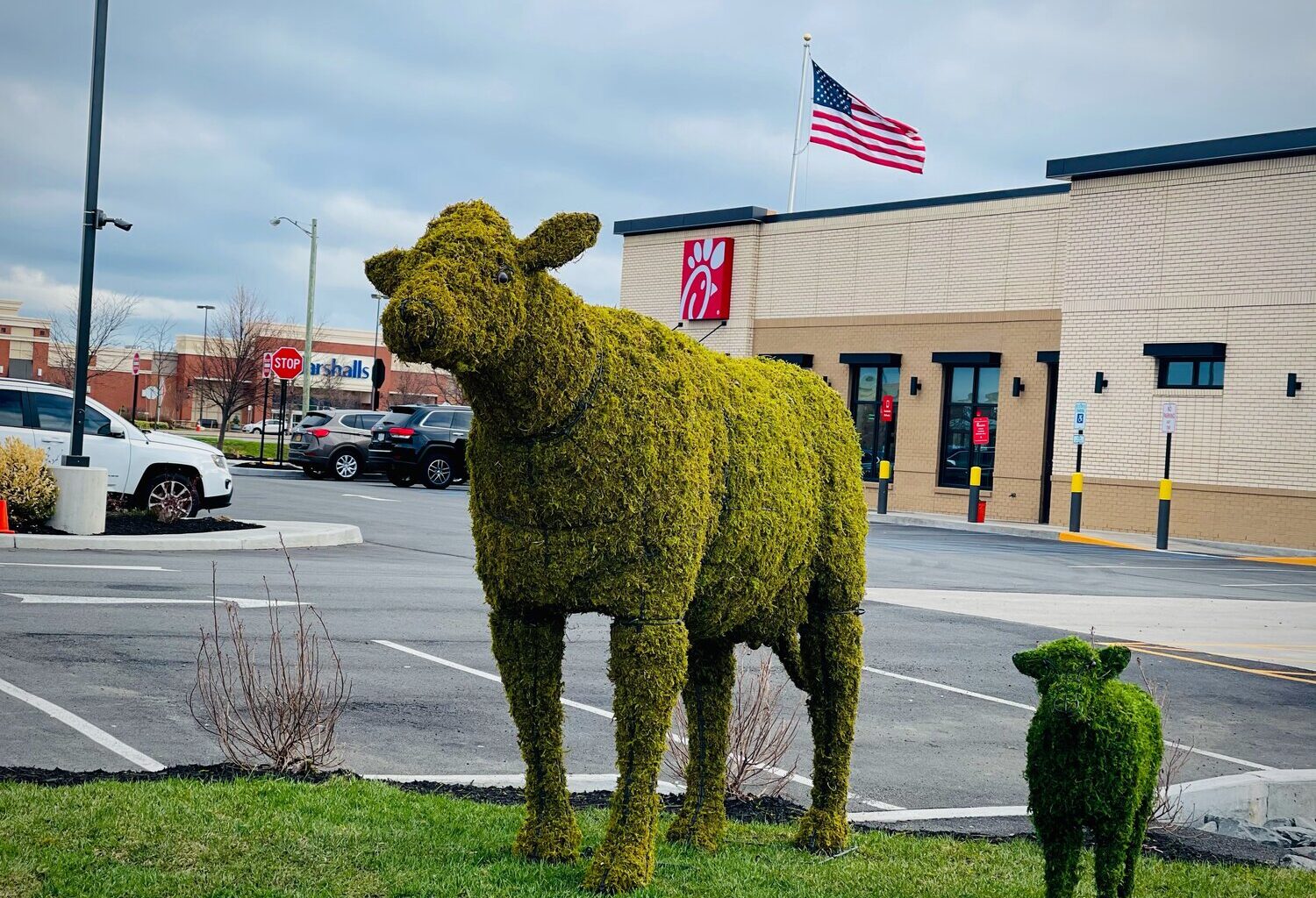Bushes in the shape of cows stand outside a Chick-fil-A restaurant in Henrietta, New York. A Chick-fil-A planned for Laveen will have some sort of monument facing the intersection of 59th Avenue and Baseline Road. Ideas mentioned so far were a water tower or statues of the company’s mascot cows.