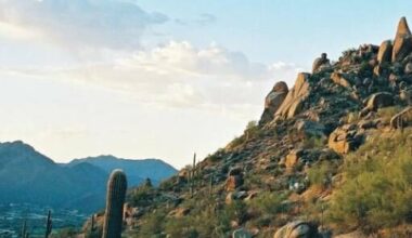 The Scottsdale plan was originally scheduled to begin the process of removing diversity and sustainability at tonights meeting but the issue has been pulled from the agenda by City Manager Greg Caton.