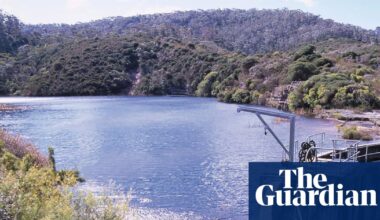 ‘No clinical benefit’ to blood test for Pfas, government says, after ‘forever chemicals’ found in Blue Mountains | Pfas