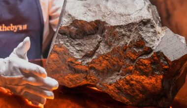 Why Niger is investigating the $5 million sale of the largest Mars rock found on Earth