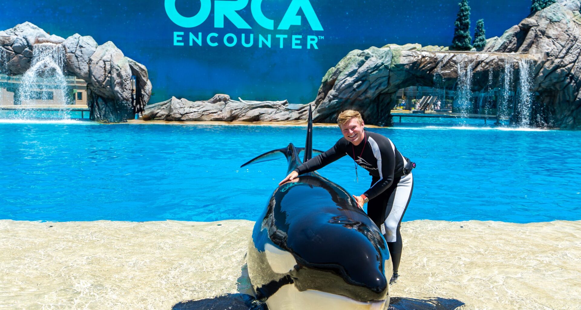 SeaWorld’s new Orca Encounter is ‘love letter’ to whales, guests