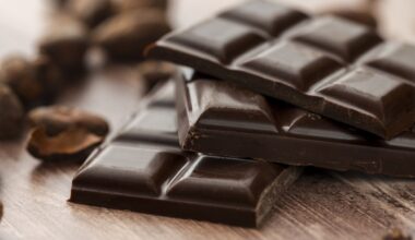 Gourmet dark chocolate bar with cocoa beans