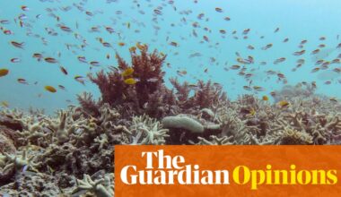 Pretty bloomin’ what? The Great Barrier Reef is a picture of health, The Australian assures us | Tory Shepherd